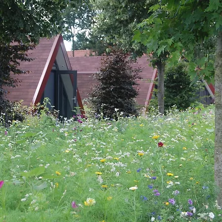 Restinn 3* Rijsbergen