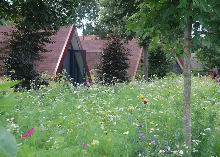 Restinn 3* Rijsbergen